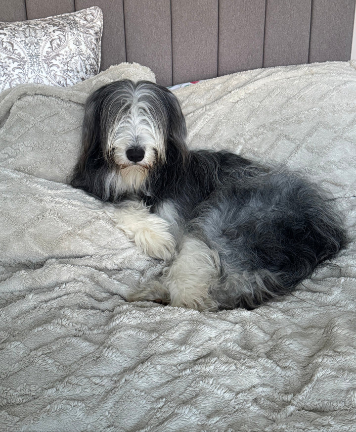 Cable Knit Jacquard Fleece Throw